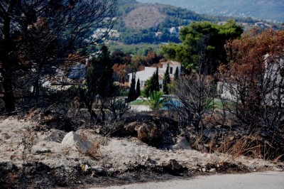 18 Feuer hat sich Wege gesucht.JPG (168.73 KiB) 3170 mal betrachtet Feuer, das sich wie Lavamasse durch die Landschaft gewühlt hat