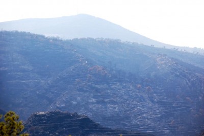 22 Blick von der Ctra. de la Granadella.JPG (75.5 KiB) 3170 mal betrachtet Blick von der Ctra. de la Granadella