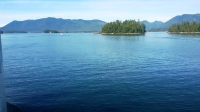 20160914_113121.JPG
