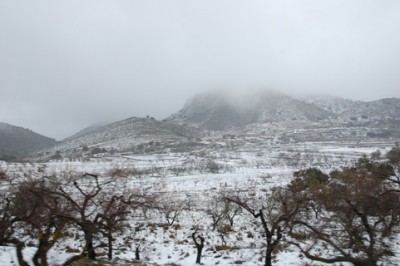 Heute in der Gegend zwischen dem Coll de Rates und Castell de Castells. Der Schnee schmilzt.