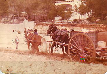 Span.eselkarren.JPG