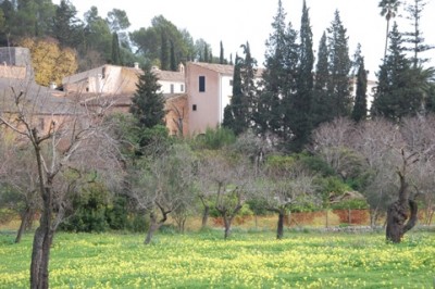 5 - blühende Kleewiesen.JPG (123.41 KiB) 7040 mal betrachtet Blühende Wiesen - Nickender Sauerklee