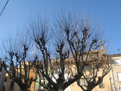 weihnachten capellades 6194.jpg