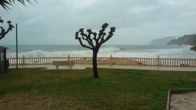 20170121_125010.JPG