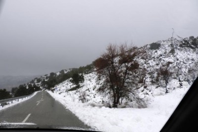 Foto 2 Tage nach den Schneefällen, aufgenommen am 21.01.2017 in der Comarca El Comtat