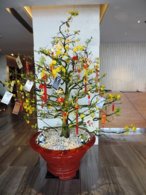 Geschmckter Weihnachtsbaum.JPG (57.12 KiB) 5048 mal betrachtet und wie es sich gehört:<br />mit geschmücktem Baum