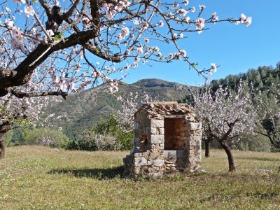 P1580003.JPG