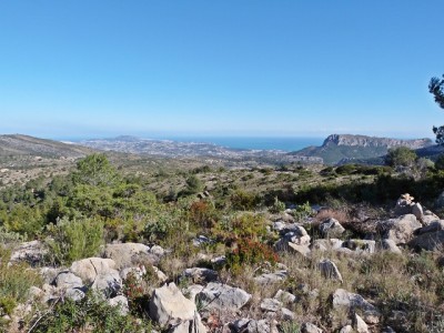 P1580048.JPG
