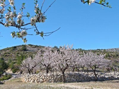 P1580070.JPG