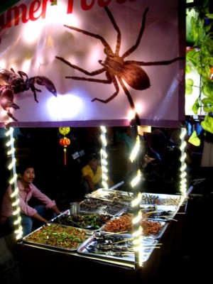 IMG_9372 Spinnenstand.JPG (51.96 KiB) 4595 mal betrachtet In Siem Reap gab es etliche Stände mit