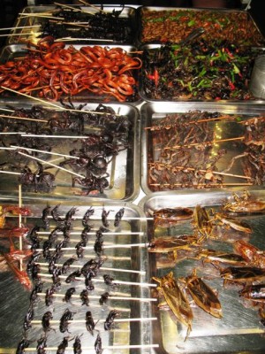 IMG_9391 Proteine en masse.JPG (89.07 KiB) 4595 mal betrachtet Proteinen en masse