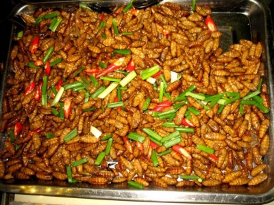 Maden.JPG (89.64 KiB) 4595 mal betrachtet und Larven mit frischem Gemüse...