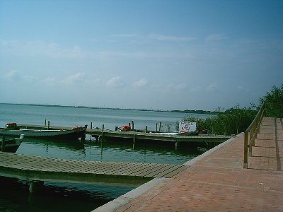 La Albufera1.JPG