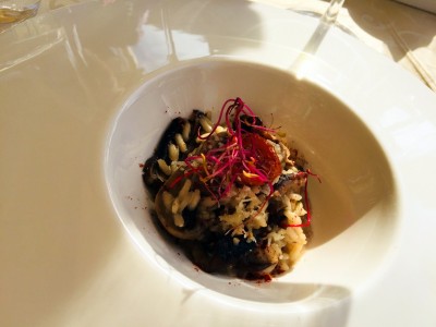 IMG_6225.JPG (135.44 KiB) 2292 mal betrachtet Rissotto de setas