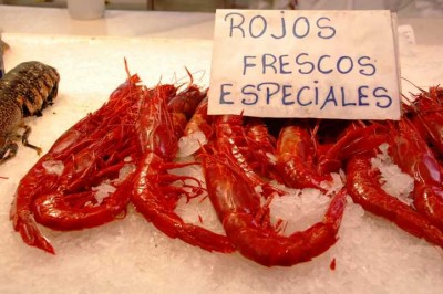 Gambas rojas