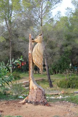 woody - 1.jpg