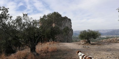IMG_20180106_124425.jpg