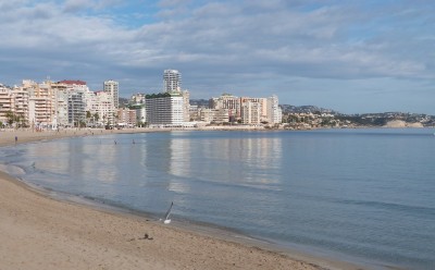 P1500039.JPG