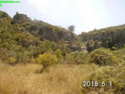 DSCI1319.JPG