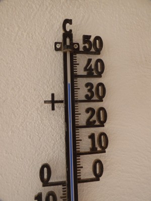 P1050053.JPG
