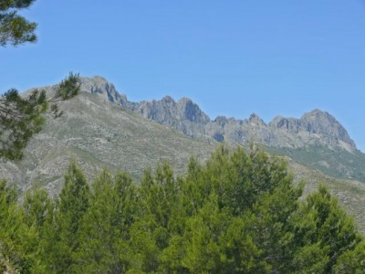 Blick vom Olta in die Bernia