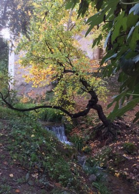 Überall aus Felsen und Mauern rauscht das Wasser