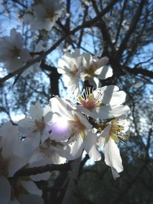 P1010175.JPG