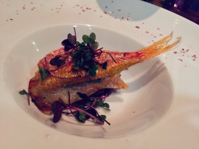 IMG_9530.JPG (84.88 KiB) 3479 mal betrachtet 3. Gang: Saltimboca von roter Meerbarbe, Rotkohl gebraten mit Apfel und Pinienkernen