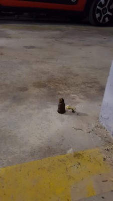 IMG-20181201-WA0005.jpg (89.41 KiB) 3532 mal betrachtet Und Künstler sind sie auch noch !