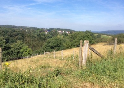 Fast kann man den Michaelsberg in Siegburg sehen