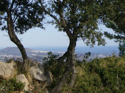 HPIM7761.JPG (73.64 KiB) 2527 mal betrachtet in der Ferne grüßt Ibiza