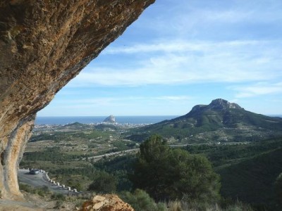 Zwischen Pinos und Benissa (Citronella)