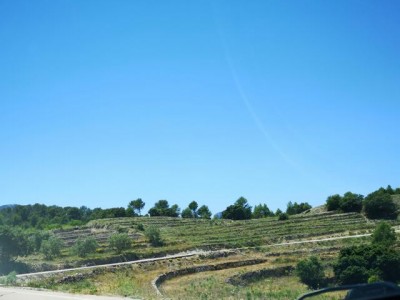 K640_gerodete Terrassen.JPG (34.71 KiB) 3376 mal betrachtet gerodete Terrassen (Marina Baja)