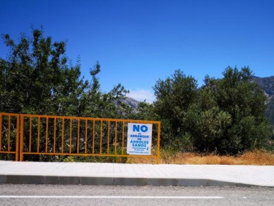 K640_Keine gesunden Bäume ausreissen.JPG (60.98 KiB) 3376 mal betrachtet Keine gesunden Bäume ausreißen