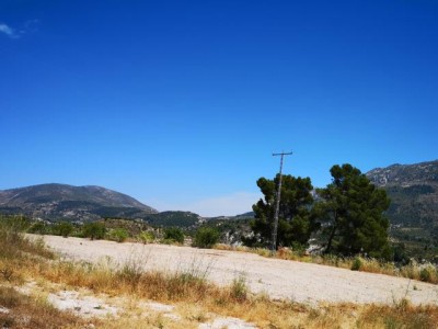 K640_komplette Neuanpflanzung gerodet.JPG (41.23 KiB) 3376 mal betrachtet Eine komplett , erst wenige Jahre alte<br /> Mandelplantage wurde dem Erdboden <br />gleich gemacht (El Comtat)