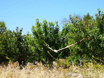 K640_mit einfachen Mitteln.JPG (91.91 KiB) 3376 mal betrachtet selbst mit einfachsten Mitteln werden <br />Felder abgeriegelt