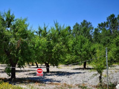 K640_Sperre 2.JPG (86.26 KiB) 3376 mal betrachtet Prohibido el Paso