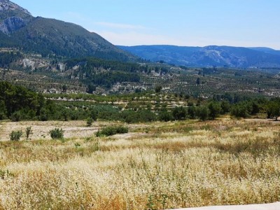 K640_zurück bleibt eine Steppe.JPG (78.91 KiB) 3376 mal betrachtet Zurück bleibt eine Steppenlandschaft