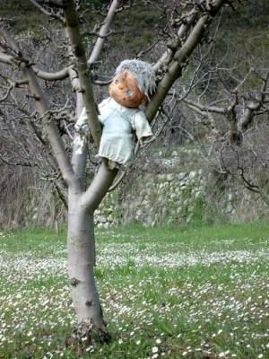 P1020259.JPG (86.84 KiB) 6605 mal betrachtet Was nicht alles auf den Bäumen wächst