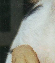 Rätsel-3.jpg