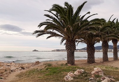 Der Blick zurück auf das Castillo von Peñíscola