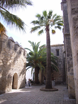 Vejer 06.JPG