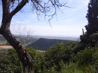 Vejer 14.JPG