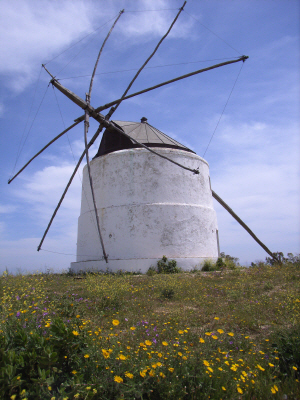 Vejer 16.JPG