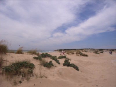 Cabo Trafalgar 06.JPG