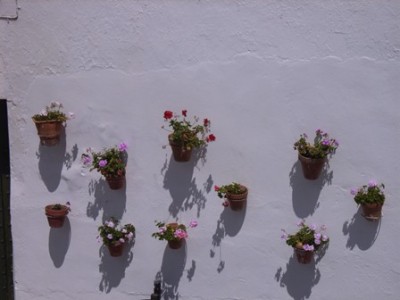 Arcos 09.jpg
