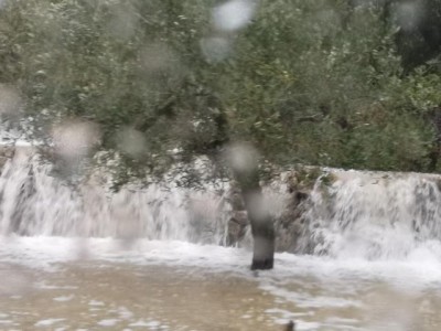 sprudelnde Wasserfälle im Olivenhain