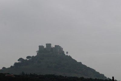 IMG_7623.jpg