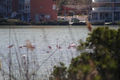 IMG_9266.jpg