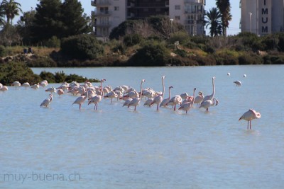 IMG_9294.jpg